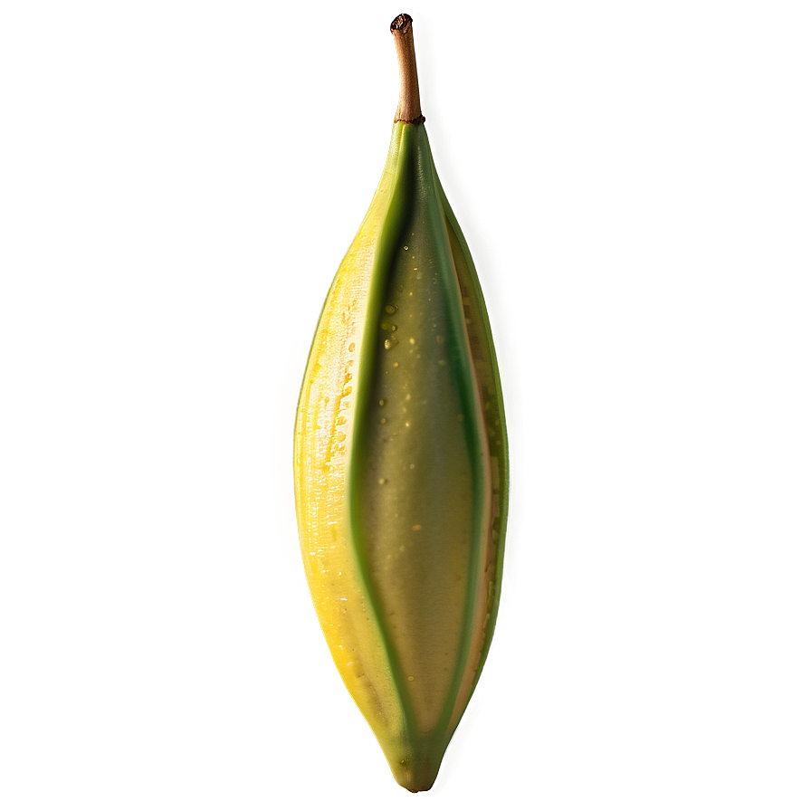 Star Fruit Detail Png 2