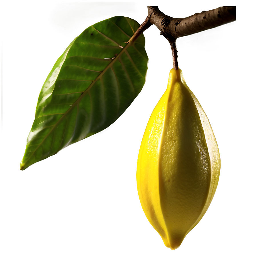 Star Fruit On Branch Png Rin