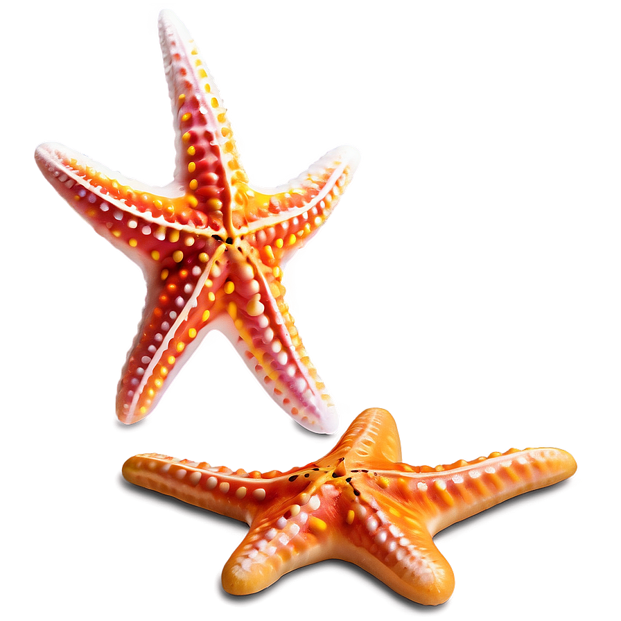 Starfish Clipart Png 48