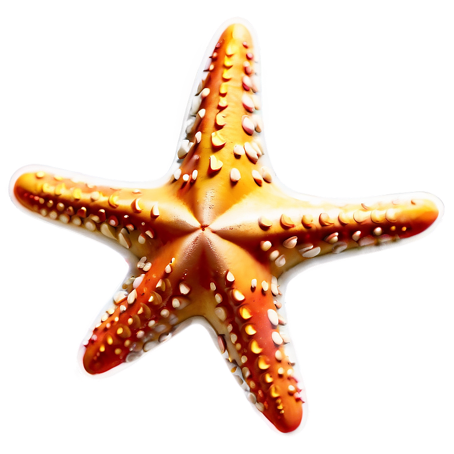 Starfish Emoji Png Ala