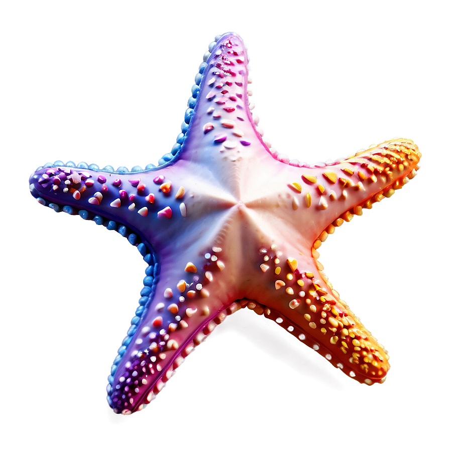 Starfish For Kids Png Xyp12