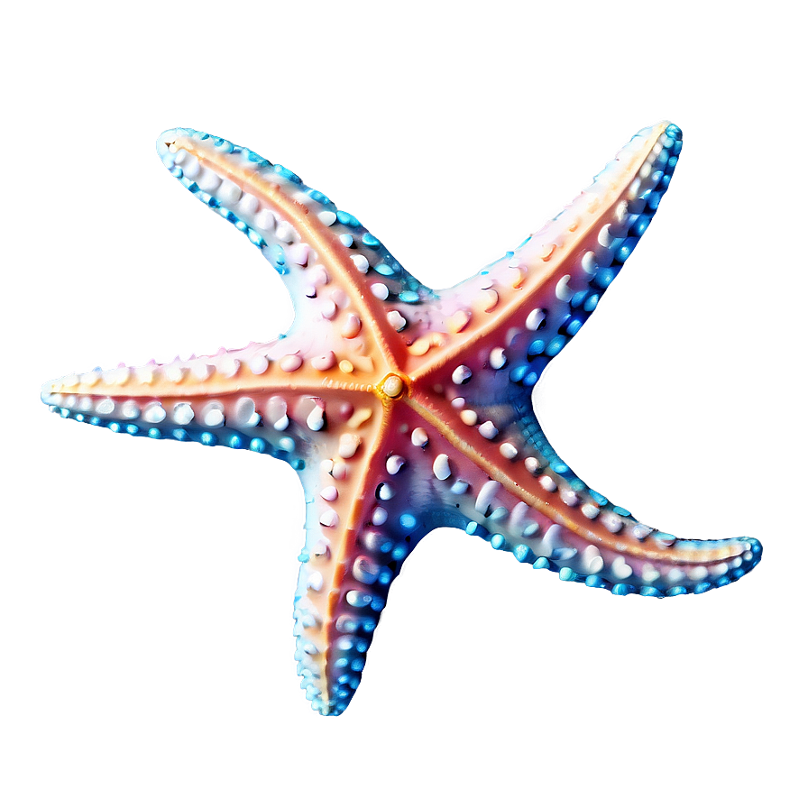 Starfish Png Kpw47