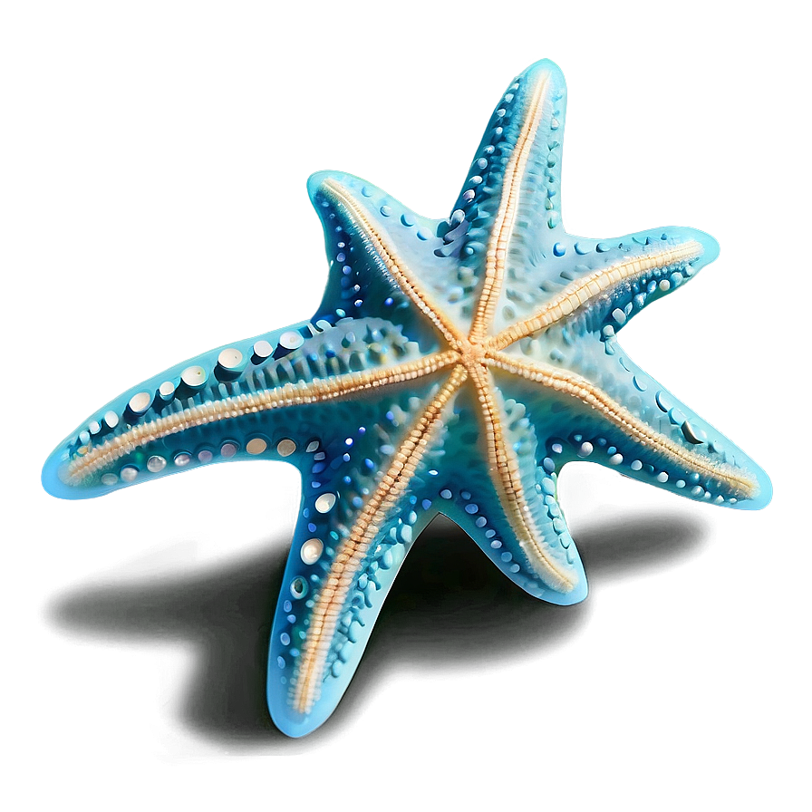 Starfish Underwater Image Png Mly