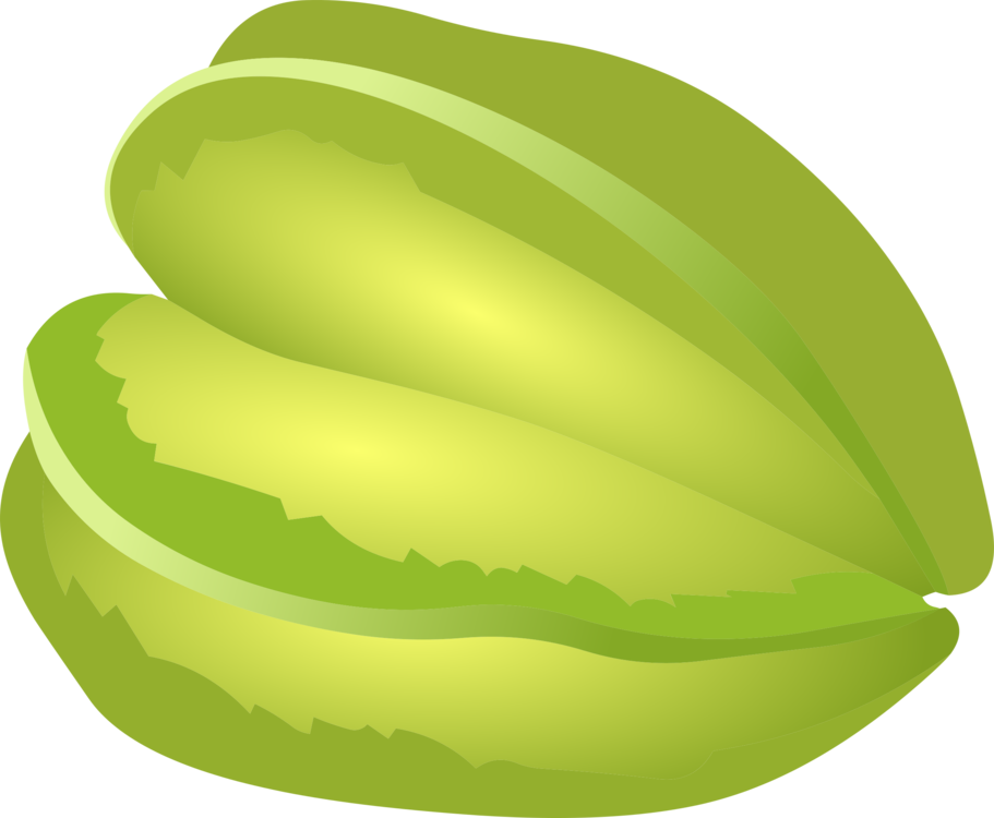 Starfruit Vector Illustration