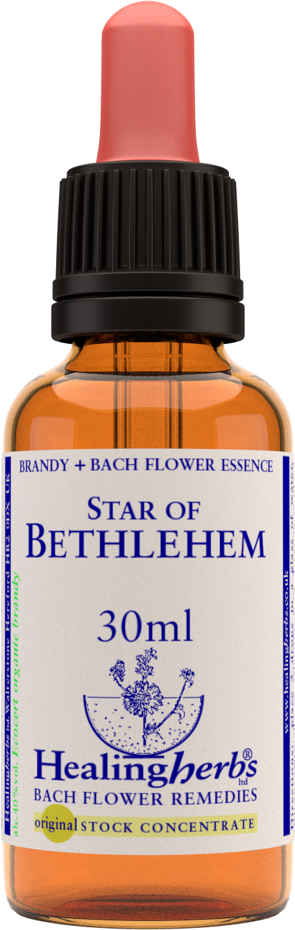 Starof Bethlehem Healing Essence Bottle