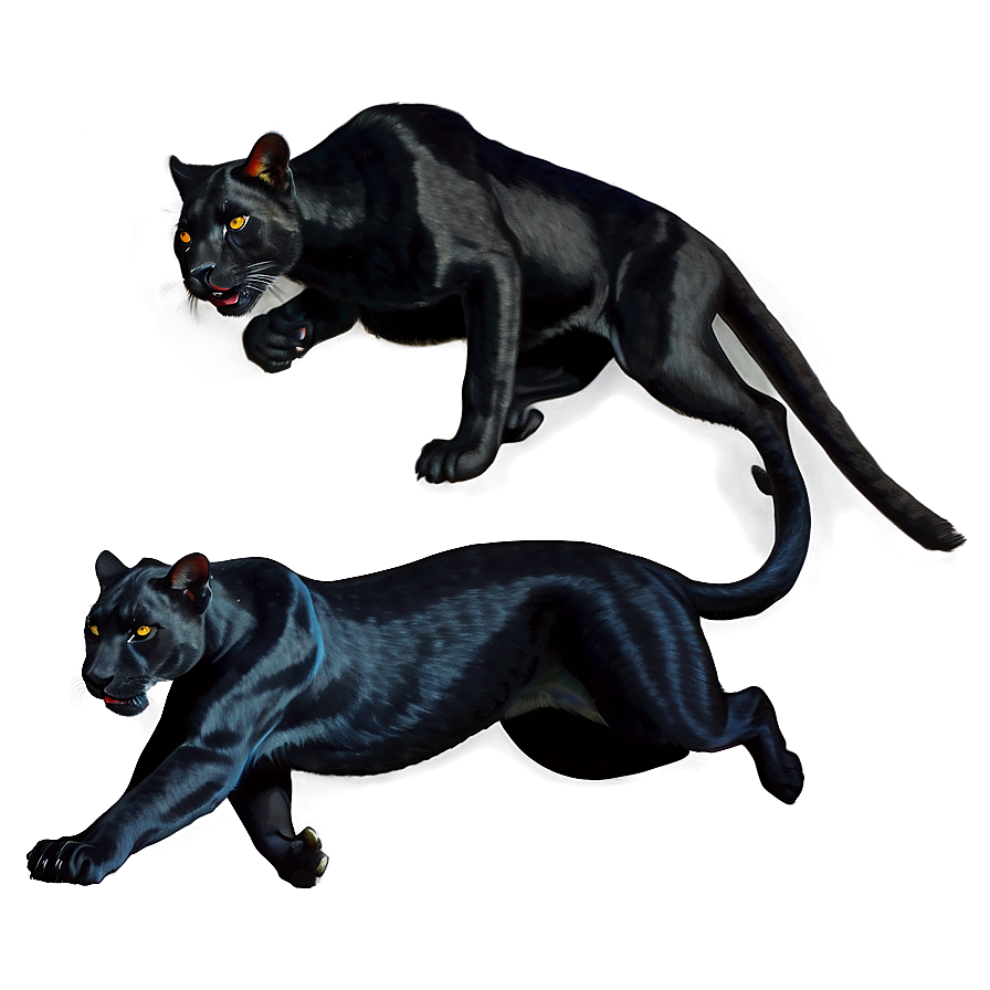 Stealthy Panthers In Night Png Ech91