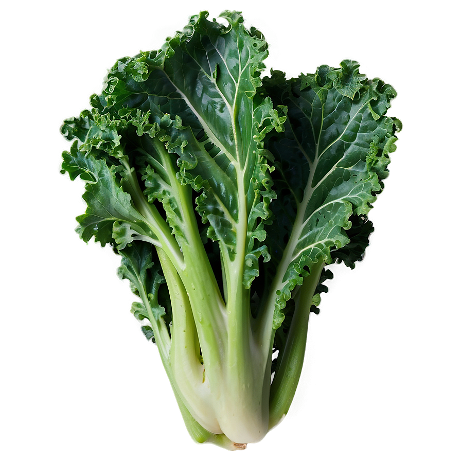 Steamed Kale Png Cwf