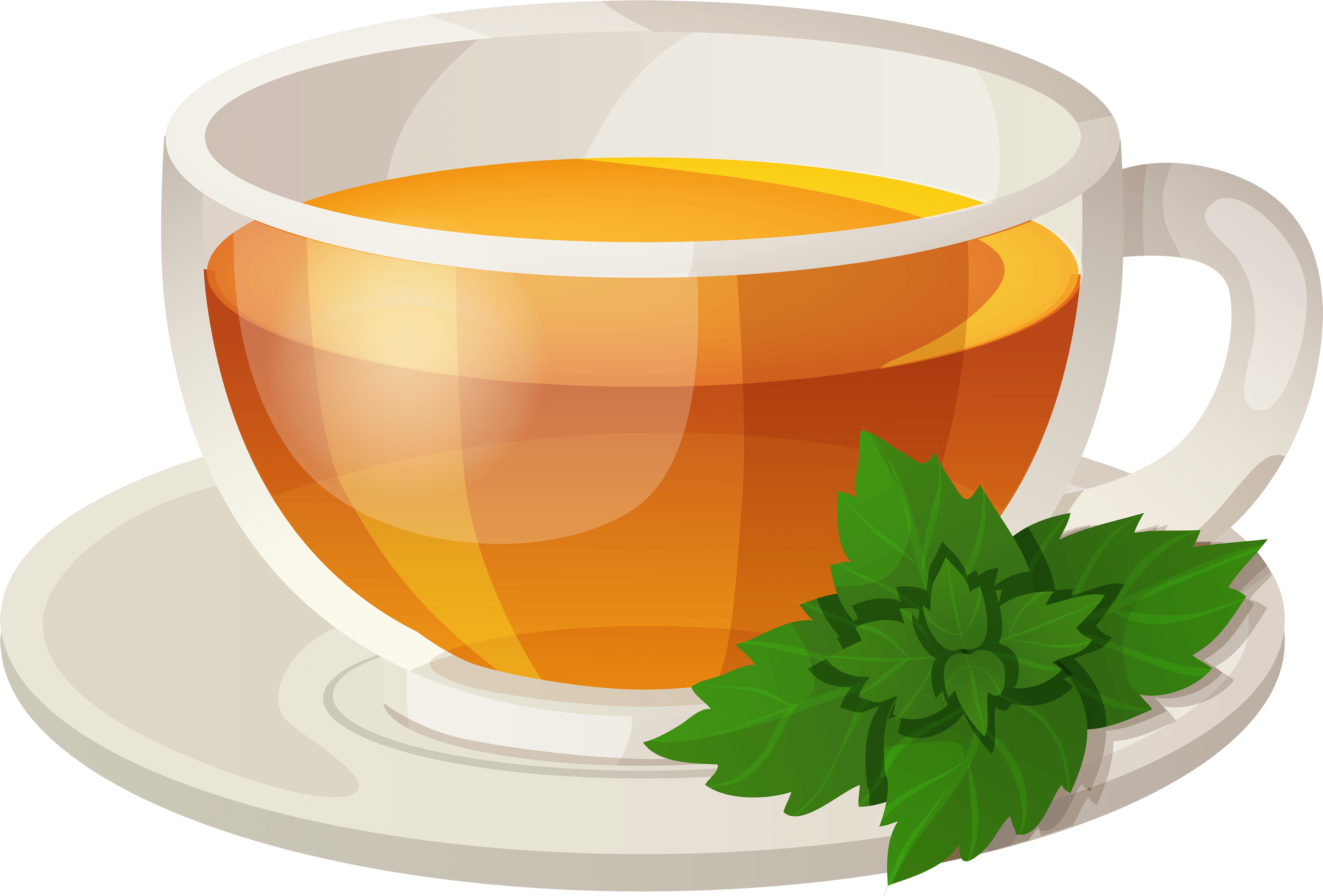 Steaming Green Tea Cup Vector