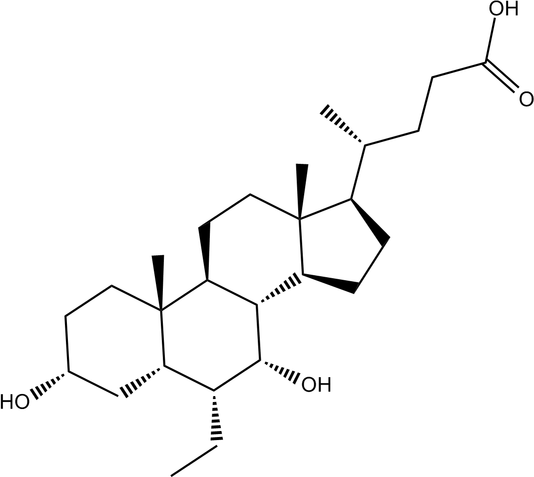 Steroid Molecule Structure