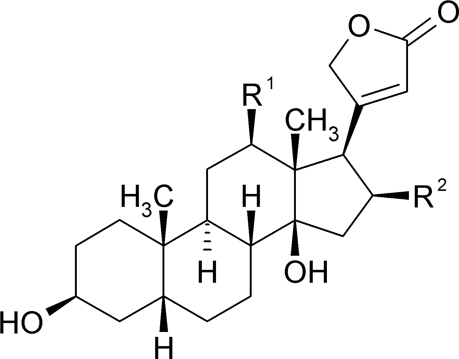 Steroid_ Structure_ Schematic