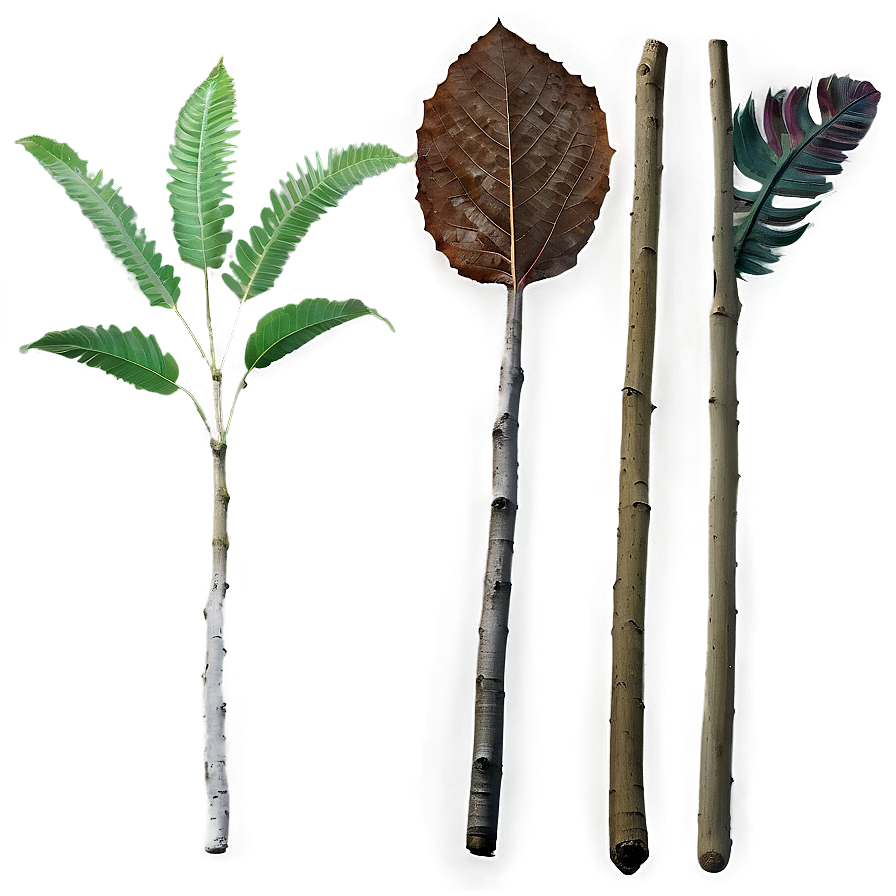 Sticks And Leaves Png Nkr