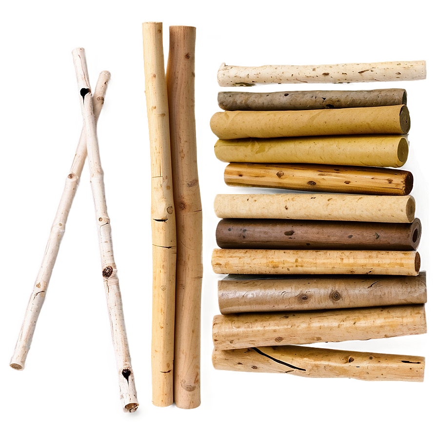 Sticks In Bundle Png 06132024