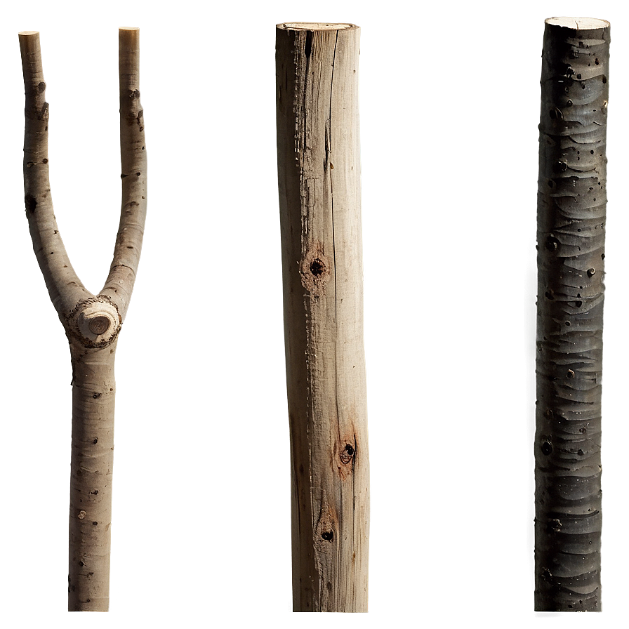 Sticks In Nature Png 10