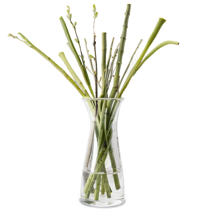 Sticks In Vase Png Yyy