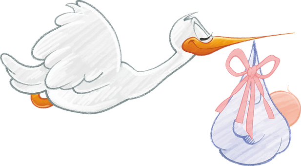 Stork Delivering Baby Bundle