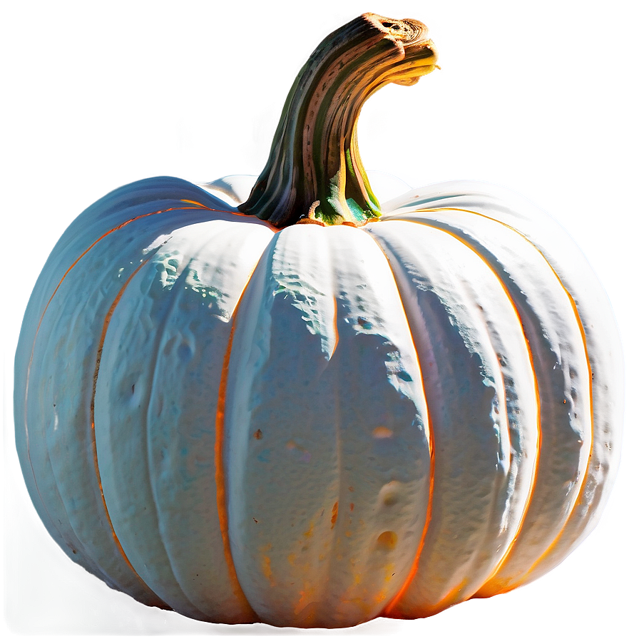 Storybook Pumpkin Outline Image Png 61