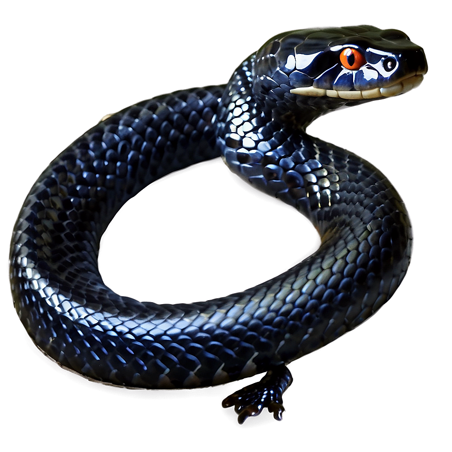 Striking Black Snake Png 06132024