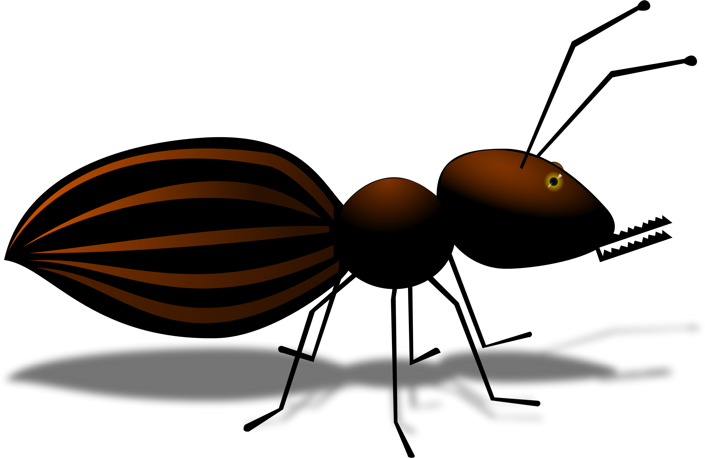 Striped Ant Illustration.png