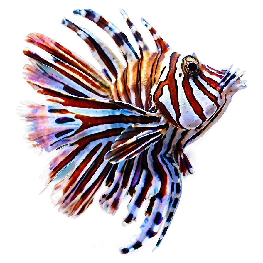 Striped Lionfish Artwork Png Chi40