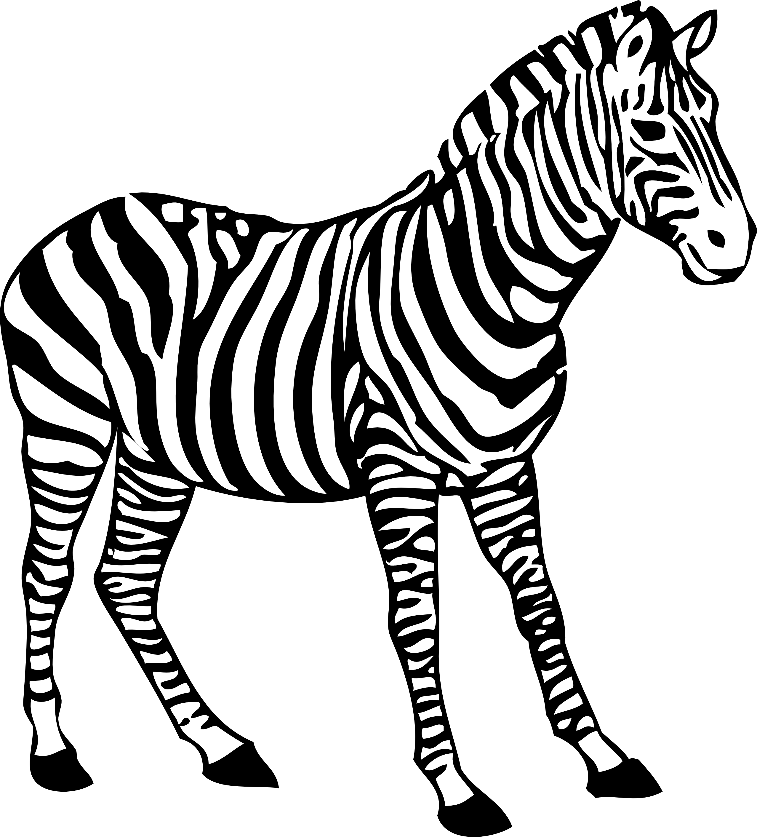 Striped Zebra Illustration