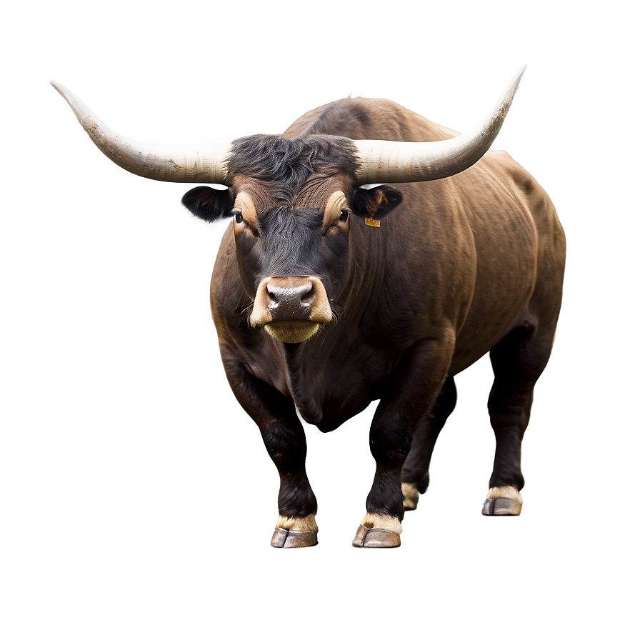 Strong Bull Png 05062024