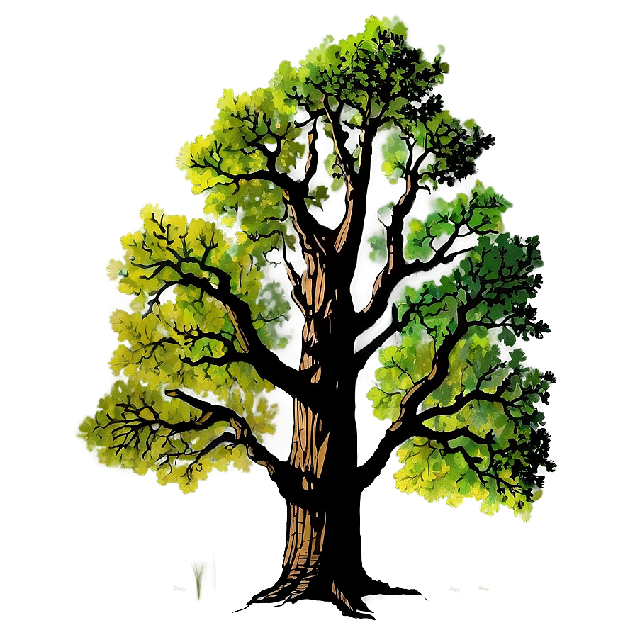 Sturdy Oak Tree Silhouette Png 48