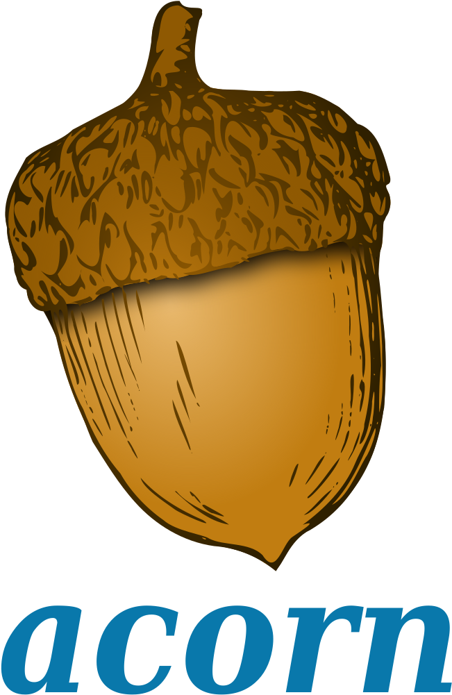 Stylized Acorn Illustration