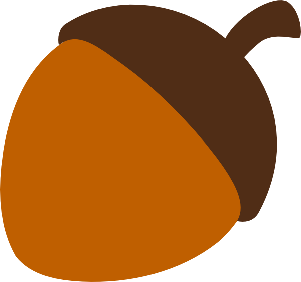 Stylized Acorn Illustration