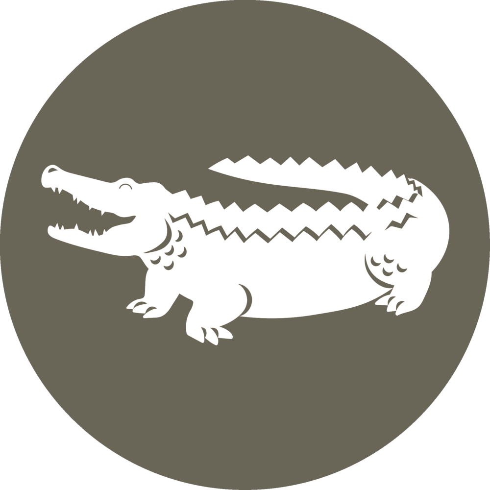 Stylized Alligator Graphic