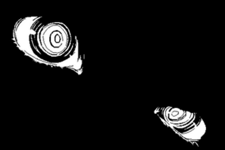 Stylized Anime Eyes Blackand White