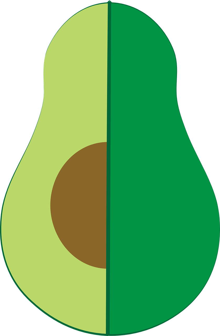 Stylized Avocado Half Illustration