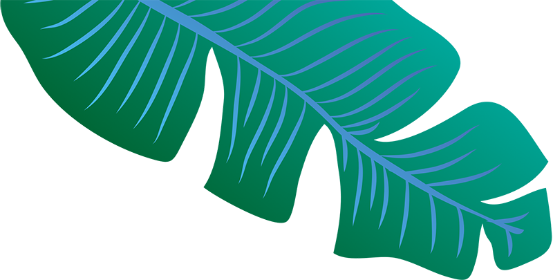 Stylized Banana Leaf Graphic