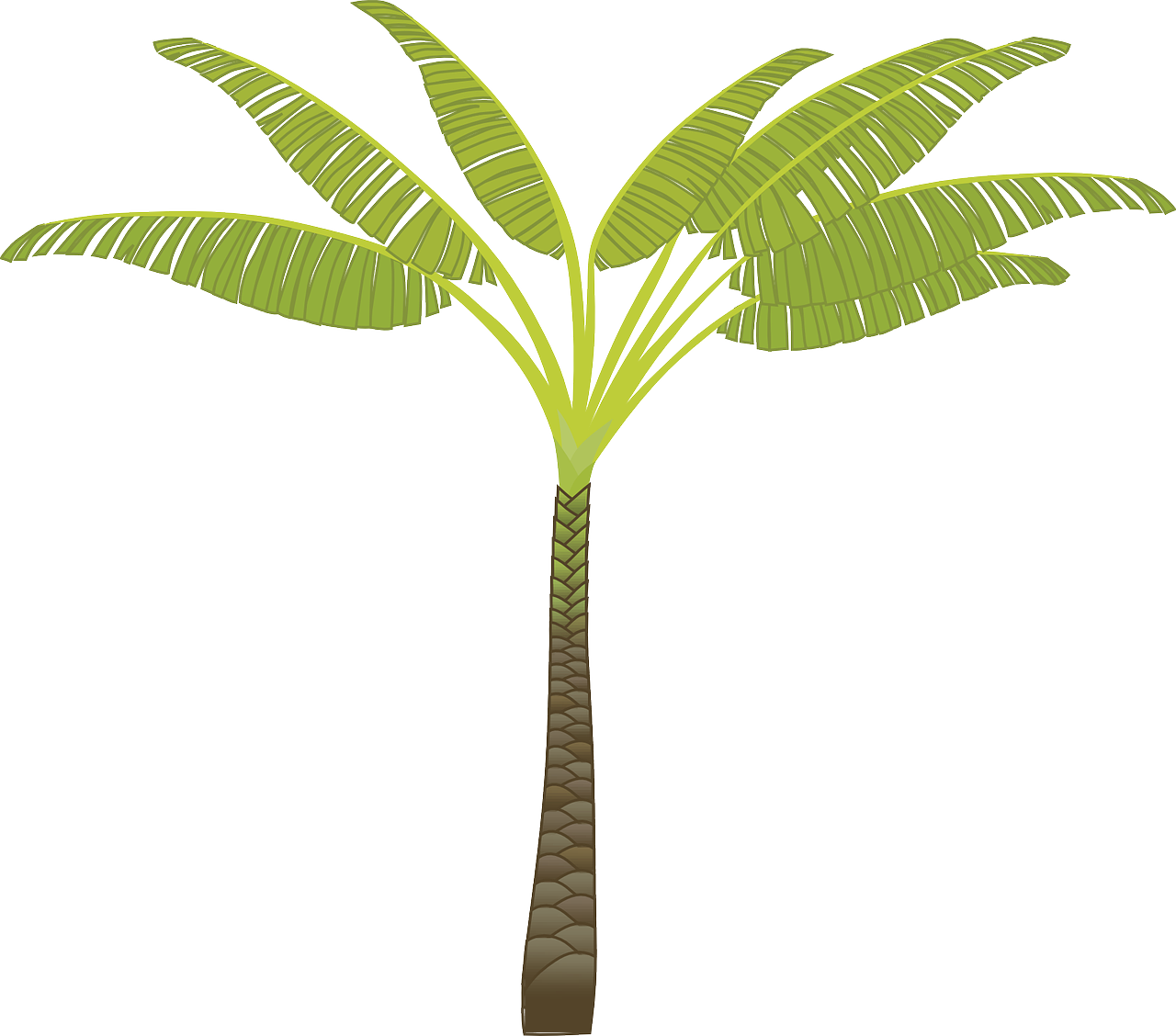 Stylized Banana Tree Illustration