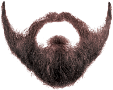 Stylized Beard Transparent Background.png