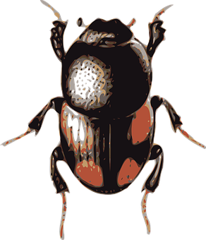 Stylized Beetle Artwork