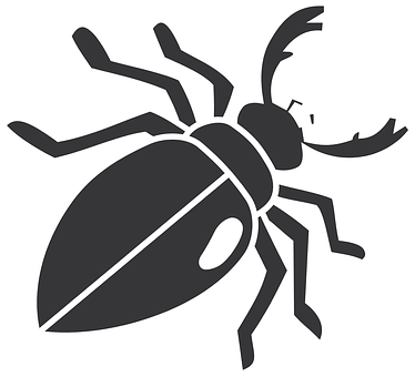 Stylized Beetle Graphic