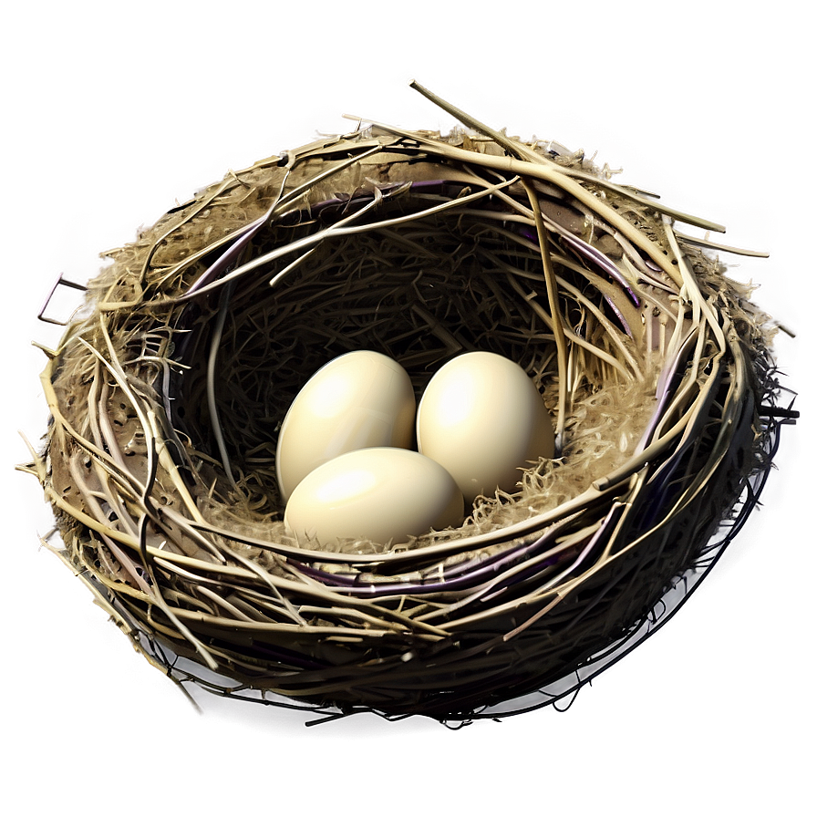 Stylized Bird Nest Png Bxj86