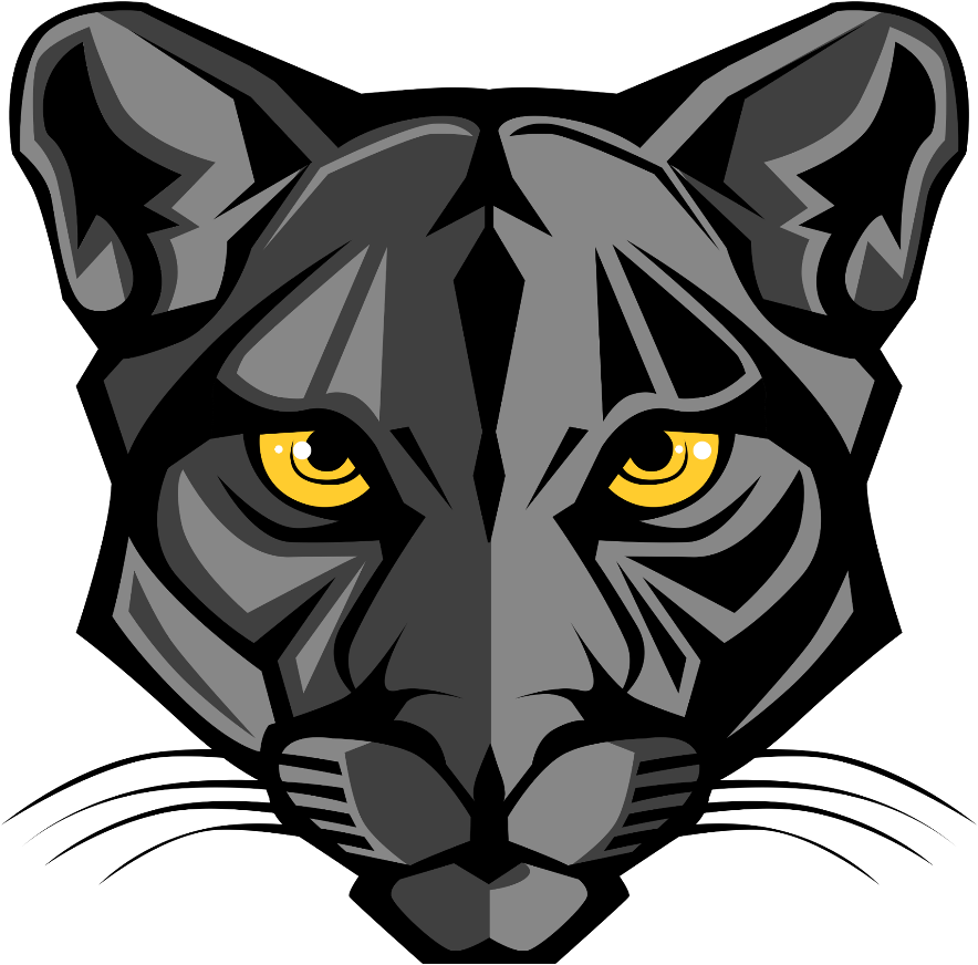 Stylized Black Panther Head Illustration