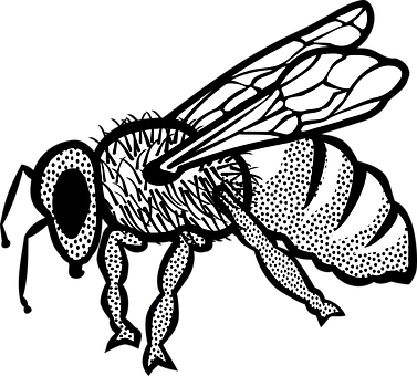 Stylized Blackand White Bee Illustration