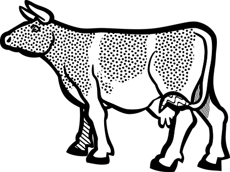 Stylized Blackand White Cow Illustration