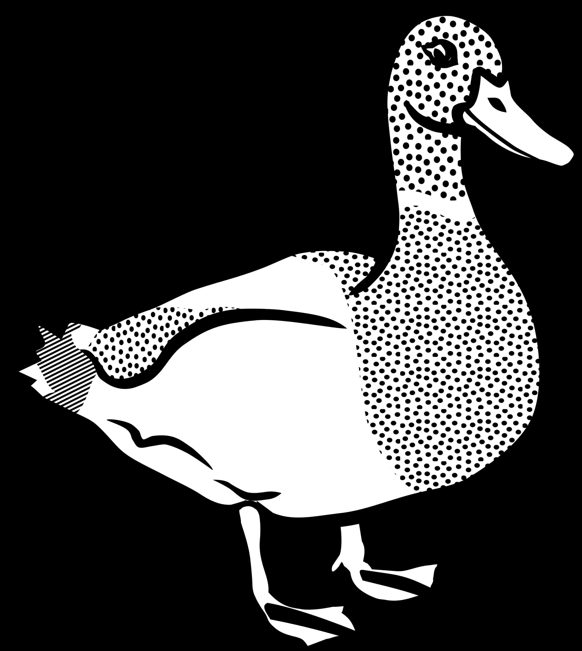 Stylized Blackand White Duck Illustration