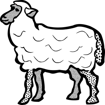 Stylized Blackand White Sheep Illustration