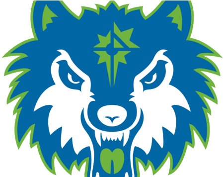 Stylized Blue Wolf Logo