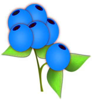 Stylized Blueberries Illustration