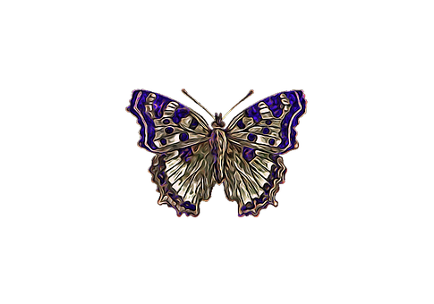 Stylized Butterfly Artwork