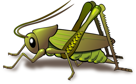 Stylized Cartoon Grasshopper