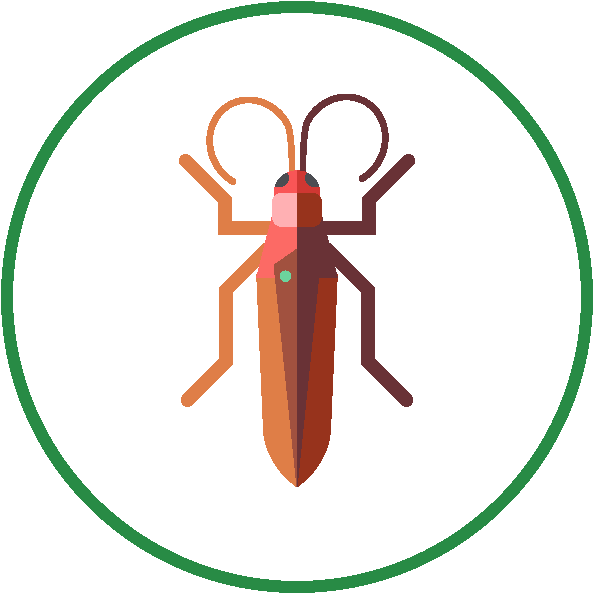 Stylized Cockroach Icon