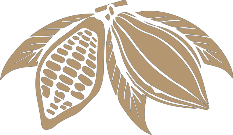 Stylized Cocoa Pods Illustration