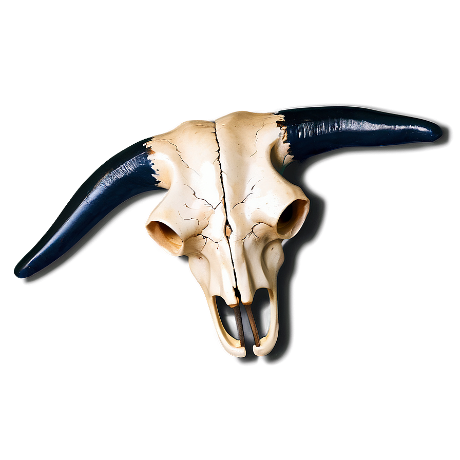 Stylized Cow Skull Png 28