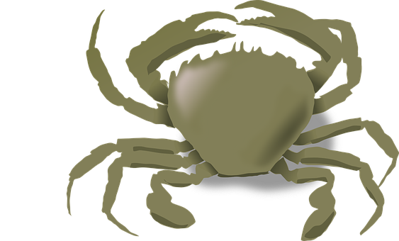 Stylized Crab Illustration